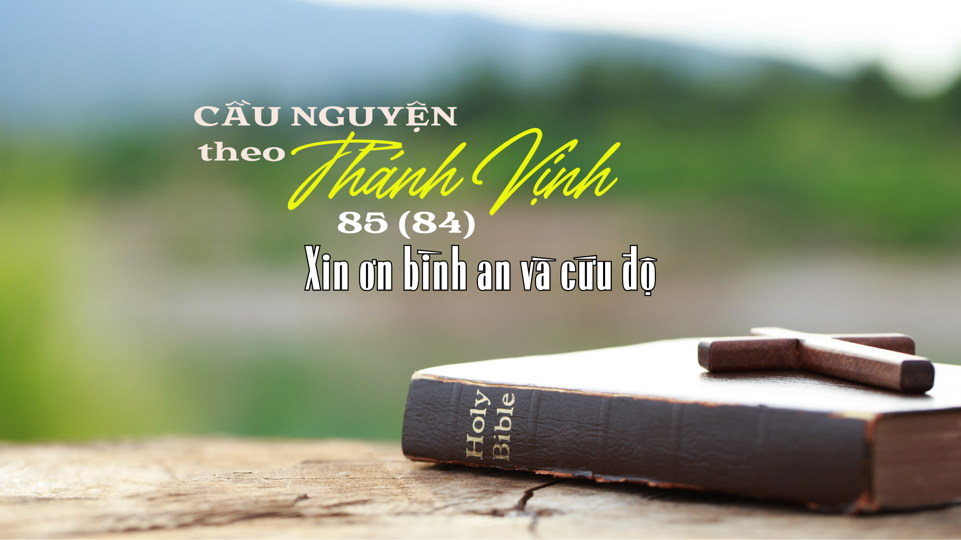 Cầu nguyện theo Thánh Vịnh 85 (84)